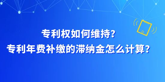 專利權如何維持？專利年費補繳的滯納金怎么計算？