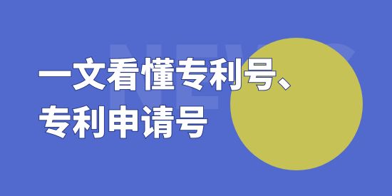 專利申請號可以查到專利號嗎,